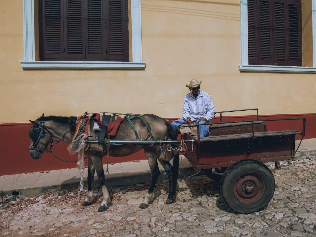 cheval  voiture