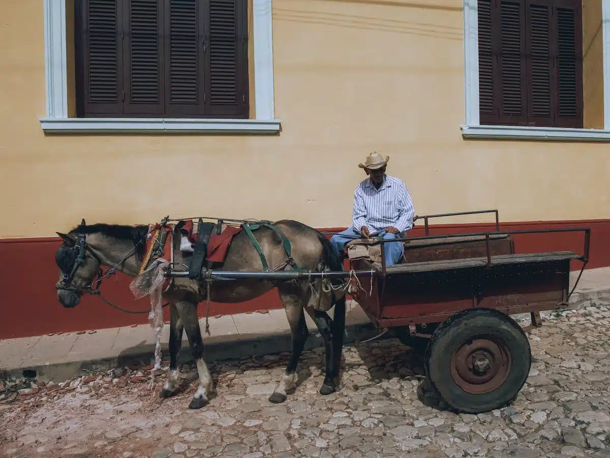 cheval  voiture