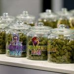 Vendre du CBD en France : Quel Statut Juridique ?