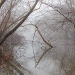 bare-trees-on-snow-covered-ground-during-daytime