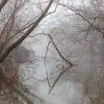 bare-trees-on-snow-covered-ground-during-daytime-2