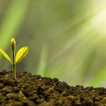 Avantages et inconvénients de la SCI